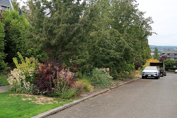 Capitol Hill Residential Streets 2025 - 26