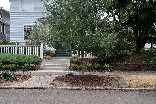 Capitol Hill Residential Streets 2025 - 69