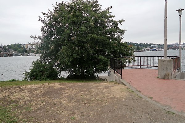 Gasworks Park 2025 - 50