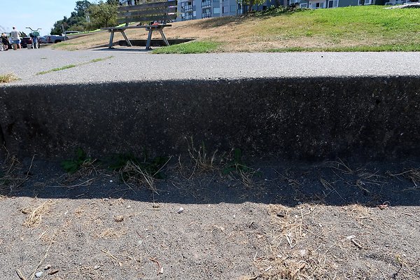 Seacrest Park 2025 - 25