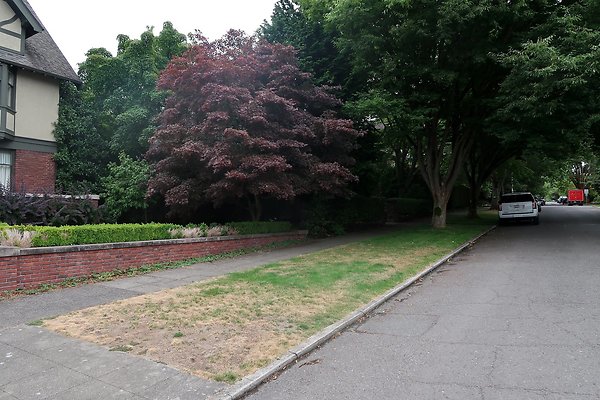 Capitol Hill Residential Streets 2025 - 38