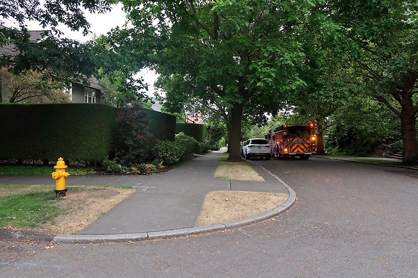 Capitol Hill Residential Streets 2025 - 3
