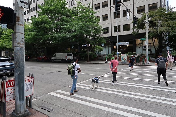 6th Westlake to Blanchard City Streets 2025 - 47