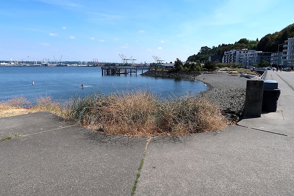 Seacrest Park 2025 - 41