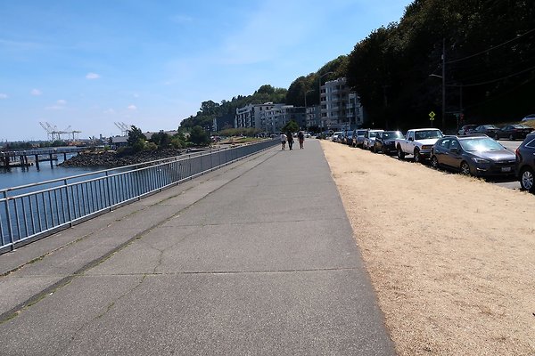 Seacrest Park 2025 - 37
