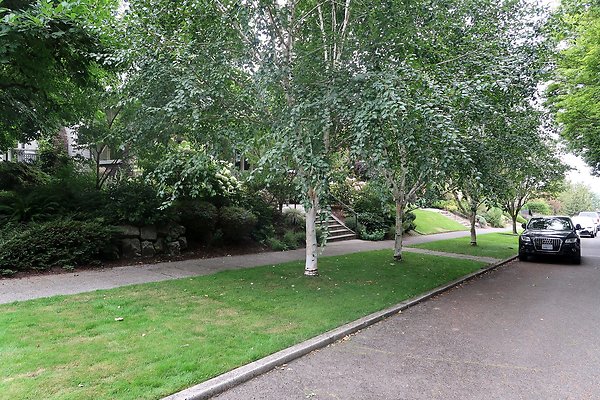 Capitol Hill Residential Streets 2025 - 14