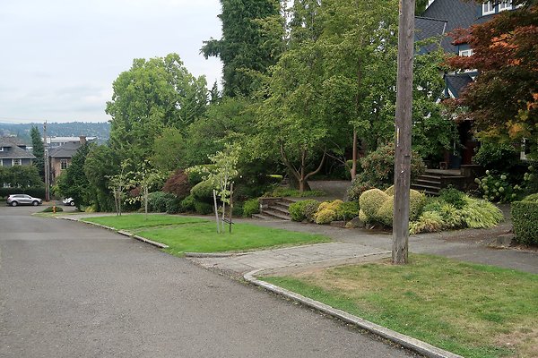 Capitol Hill Residential Streets 2025 - 28