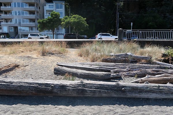 Seacrest Park 2025 - 22