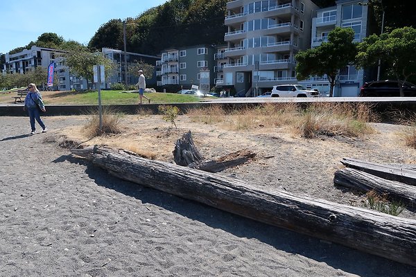 Seacrest Park 2025 - 21