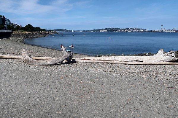 Seacrest Park 2025 - 17