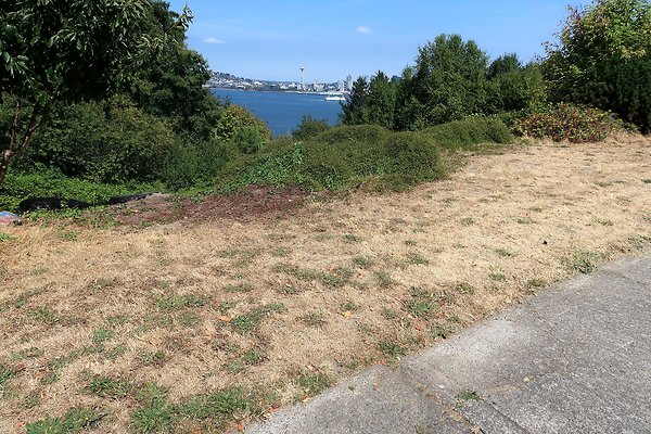 Hamilton Viewpoint 2025 - 41