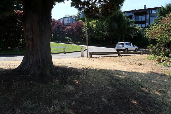 Hamilton Viewpoint 2025 - 30