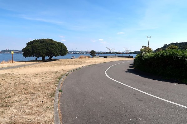 Don Armeni Park Waterside Road 2025 - 8