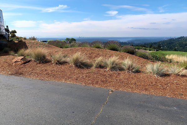 Golf Club at Newcastle Skyline 2025 - 12