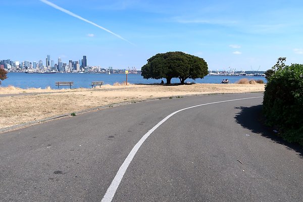 Don Armeni Park Waterside Road 2025 - 6