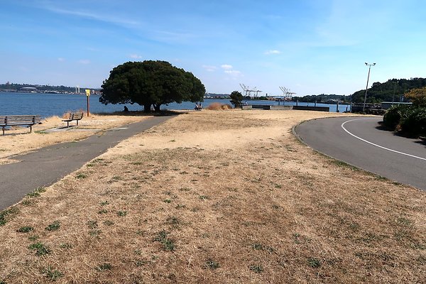 Don Armeni Park Waterside Road 2025 - 10