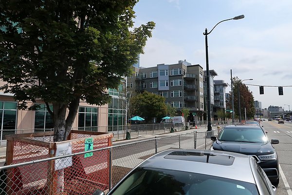 Alaskan Way Waterfront Road 2025 - 10