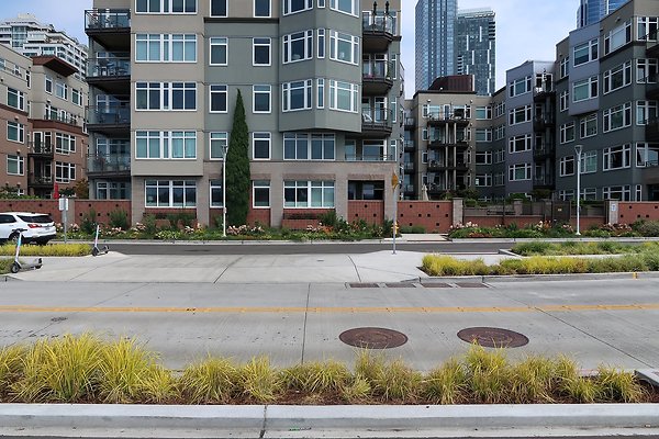 Alaskan Way Waterfront Road 2025 - 56