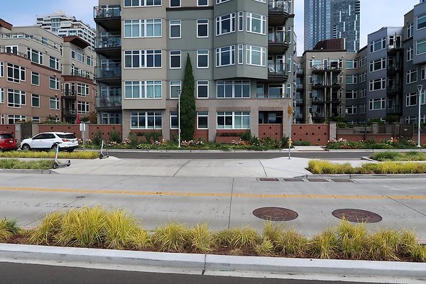Alaskan Way Waterfront Road 2025 - 55