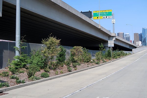 Atlantic Flyover Highway Entry Road 2025 - 12