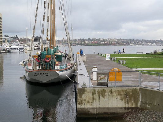 South Lake union park mohai - 42