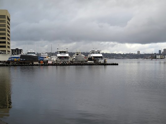 South Lake union park mohai - 25