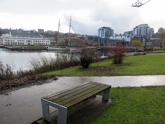 South Lake union park mohai - 9