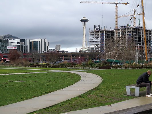 South Lake union park mohai - 64