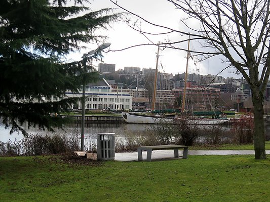 South Lake union park mohai - 2
