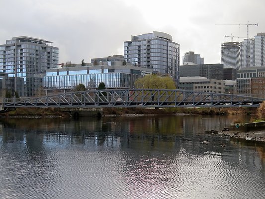 South Lake union park mohai - 30