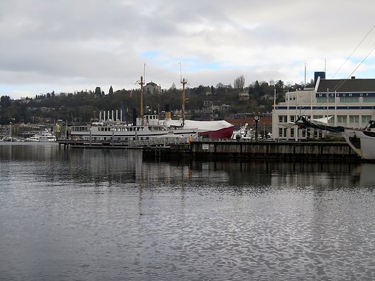 South Lake union park mohai - 27