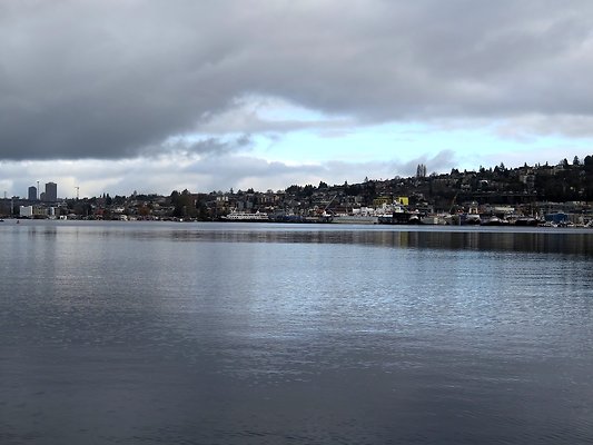 South Lake union park mohai - 26