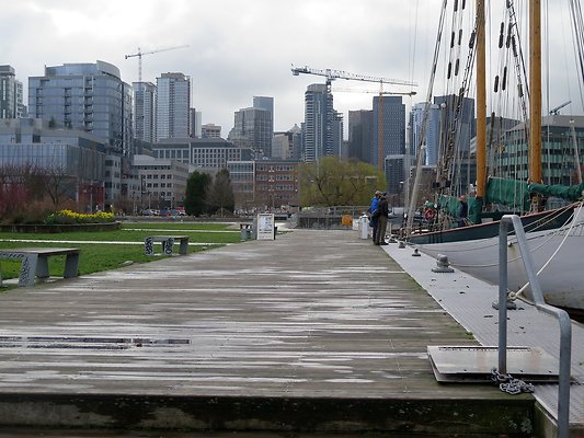 South Lake union park mohai - 51