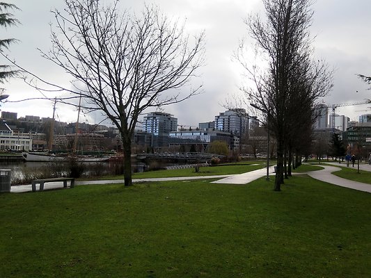 South Lake union park mohai - 7