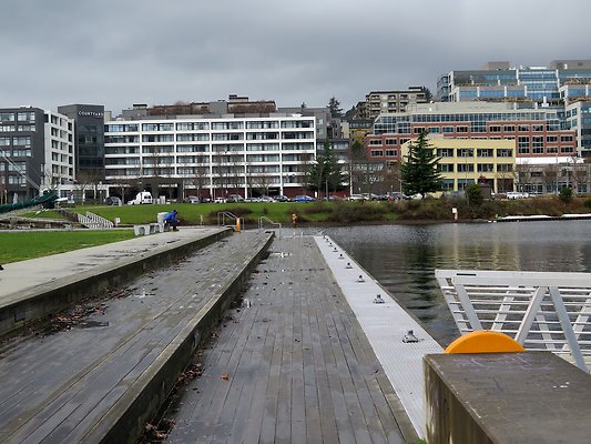South Lake union park mohai - 66