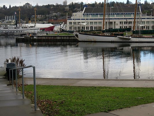 South Lake union park mohai - 16