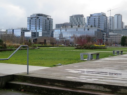 South Lake union park mohai - 50