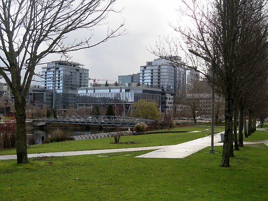 South Lake union park mohai - 3