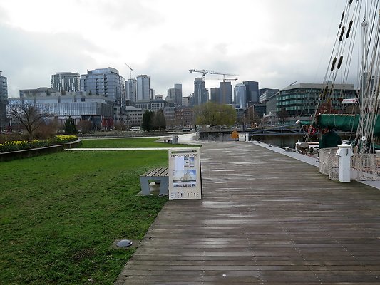 South Lake union park mohai - 46