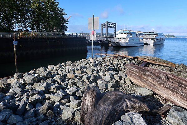 Seattle Waterfront August 2025 - 33