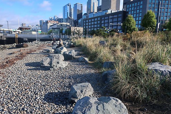 Seattle Waterfront August 2025 - 36