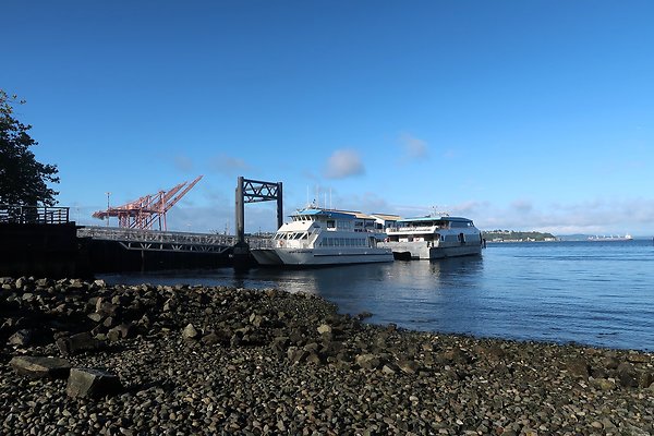 Seattle Waterfront August 2025 - 38