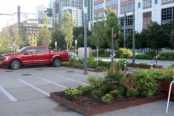 Seattle Waterfront August 2025 - 121