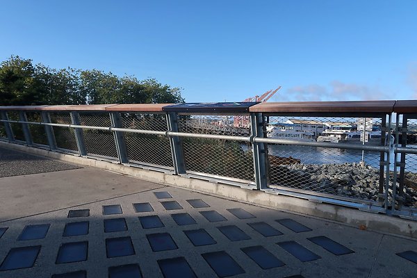 Seattle Waterfront August 2025 - 4