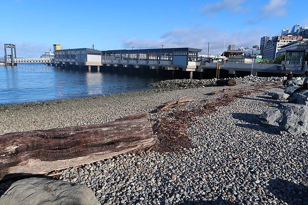 Seattle Waterfront August 2025 - 35