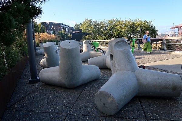 Seattle Waterfront August 2025