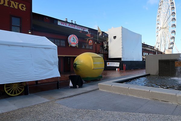 Seattle Waterfront August 2025 - 222