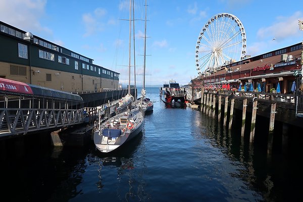 Seattle Waterfront August 2025 - 197