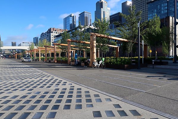 Seattle Waterfront August 2025 - 59