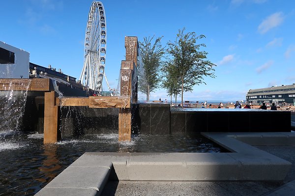 Seattle Waterfront August 2025 - 230